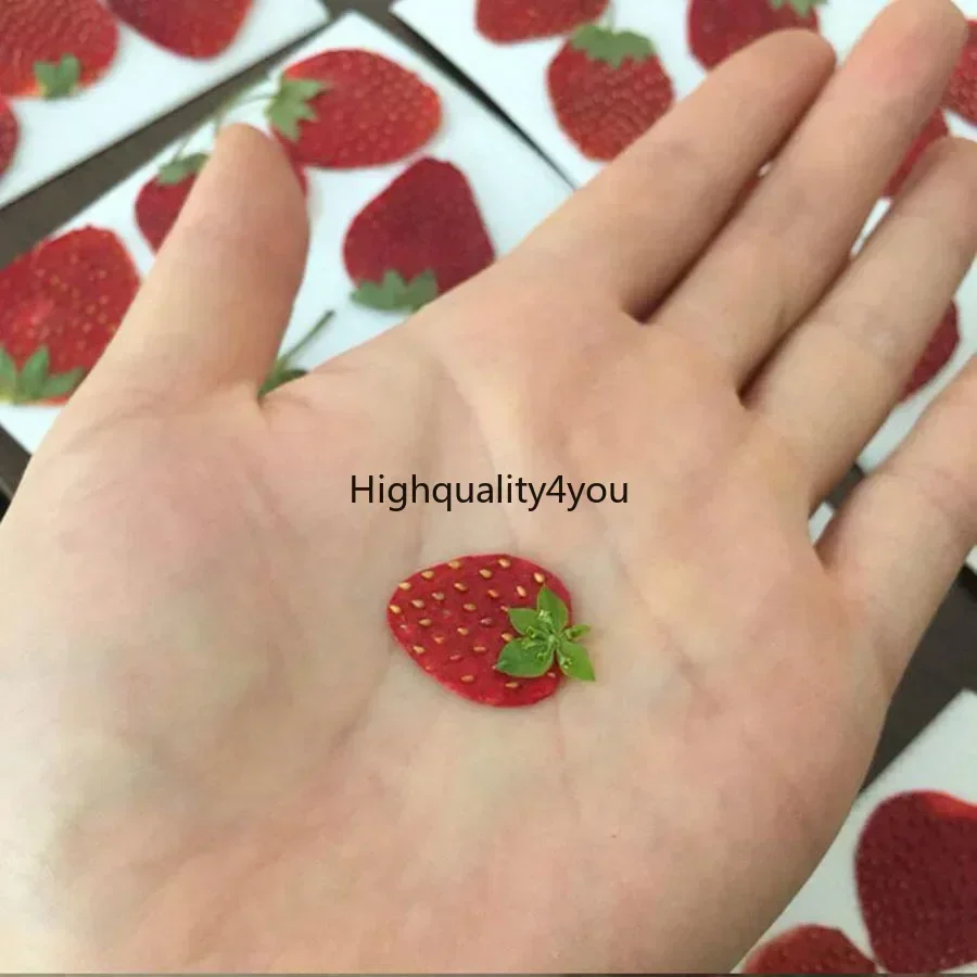 10pcs Dried Pressed Mini Fruit - Body Jewelry Display Case ulasan dan harga